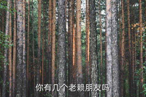 你有幾個(gè)老賴朋友嗎