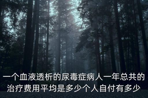 一個血液透析的尿毒癥病人一年總共的治療費用平均是多少個人自付有多少