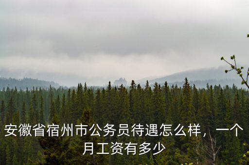 安徽省宿州市公務員待遇怎么樣，一個月工資有多少