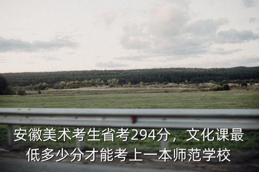 安徽省美術考試多少分達線,安徽省美術統考222分