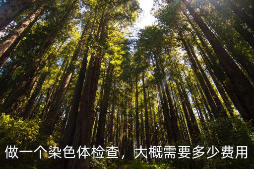亳州 染色體檢查費用多少,做一個染色體檢查