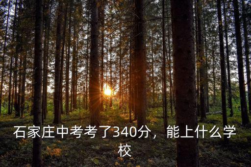 石家莊中考多少分能上擇校生,多少分能上石家莊一中