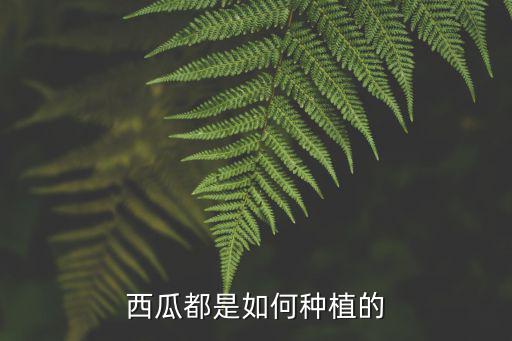 開封的西瓜是怎么生長的,西瓜都是如何種植的