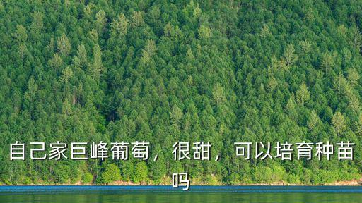 湖北巨峰葡萄苗怎么繁殖,自己家巨峰葡萄