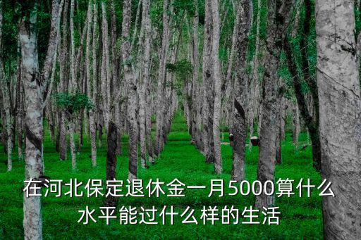 在河北保定退休金一月5000算什么水平能過什么樣的生活