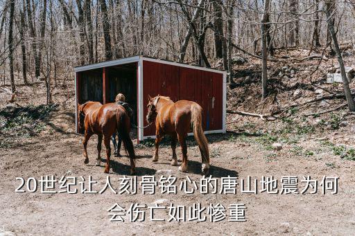 唐山大地震大約多少人遇難,唐山大地震震級比汶川地震小