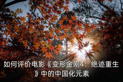 成都哪里變形金剛的,變形金剛是怎么涼了的