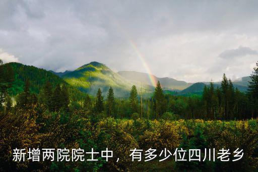 四川兩院院士集中在哪里,有多少位四川老鄉(xiāng)