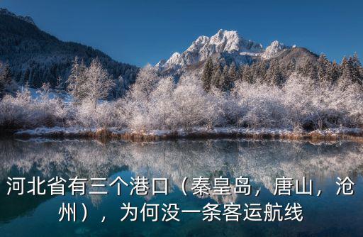 河北滄州有多少車,滄州城里車多路少