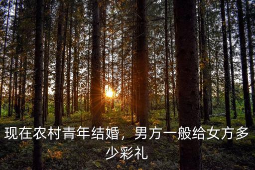 唐山遷西男方結婚要多少彩禮,結婚時女方彩禮一般要多少