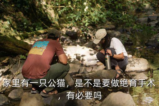 家里有一只公貓，是不是要做絕育手術，有必要嗎