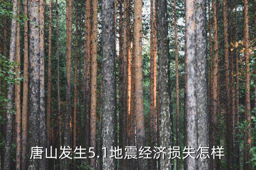 河北廊坊地震唐山多少,河北唐山發(fā)生5.1級地震