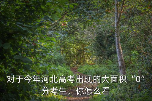 對于今年河北高考出現的大面積“0”分考生，你怎么看
