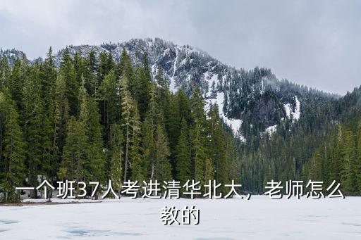 一個(gè)班37人考進(jìn)清華北大，老師怎么教的