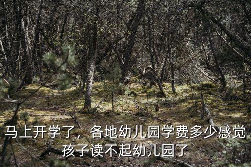 馬上開學了，各地幼兒園學費多少感覺孩子讀不起幼兒園了