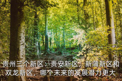 貴州三個新區：貴安新區，新蒲新區和雙龍新區，哪個未來的發展潛力更大