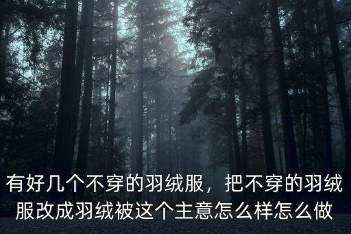 有好幾個不穿的羽絨服，把不穿的羽絨服改成羽絨被這個主意怎么樣怎么做