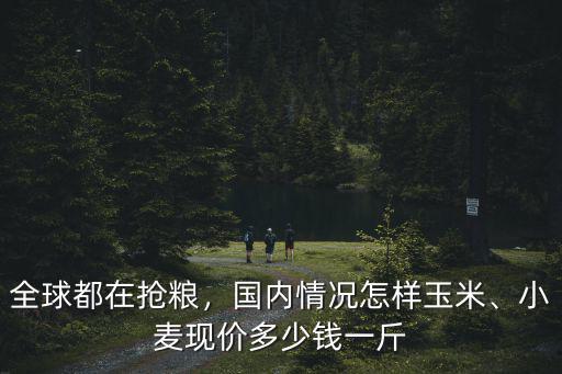 保定玉米小麥多少錢一斤,小麥現(xiàn)價多少錢一斤