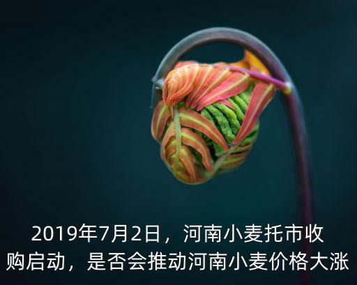 2017河南小麥收儲多少,河南小麥托市收購啟動