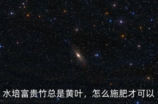 富貴竹施肥復合肥要放多少,水培富貴竹一次施多少肥
