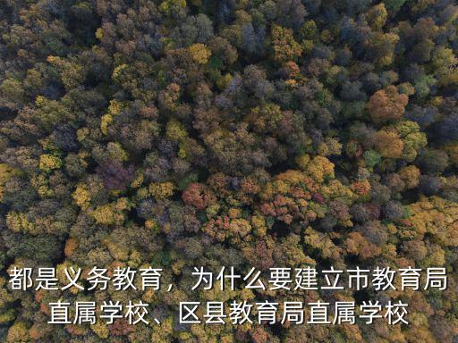 鄂州市直義務教育學校待遇怎么樣,都是義務教育