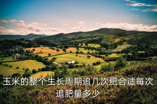 玉米追肥復合肥適合多少,玉米追肥超量
