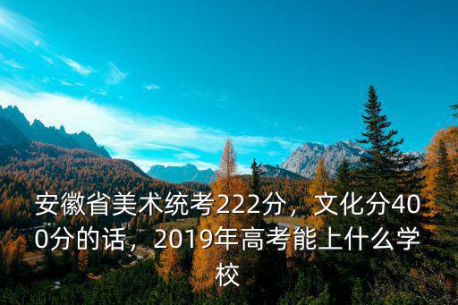 安徽省美術統考成績多少算好,安徽省美術統考222分