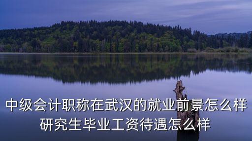 武漢研究生工資待遇怎么樣啊,研究生畢業(yè)工資待遇怎么樣