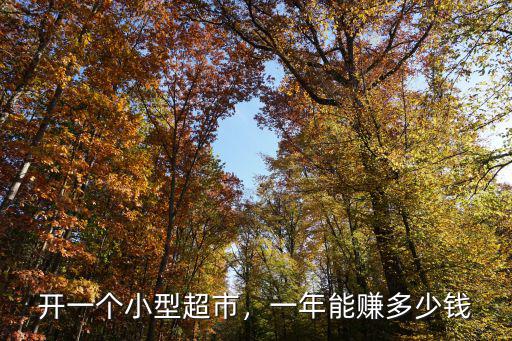 石家莊一個小超市能掙多少,開一個小型超市