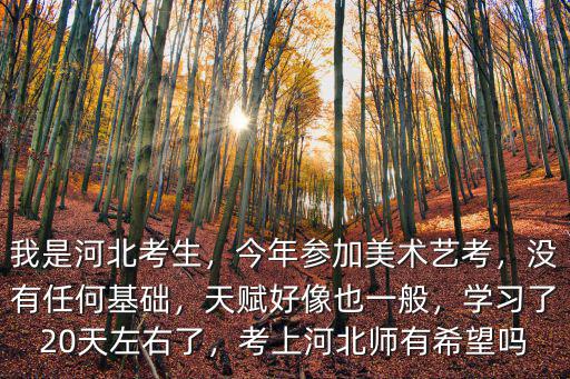 河北今年多少美術生,今年參加美術藝考