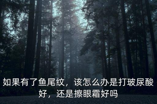 成都打玻尿酸哪里好專注*美萊,是打玻尿酸好