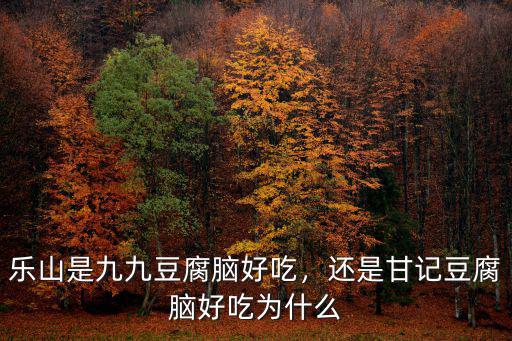 樂山豆腐腦哪里好吃,樂山是九九豆腐腦好吃