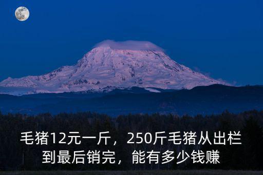 安徽省臨泉縣毛豬多少錢一斤,毛豬12元一斤