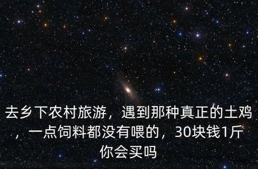 去鄉下農村旅游，遇到那種真正的土雞，一點飼料都沒有喂的，30塊錢1斤你會買嗎