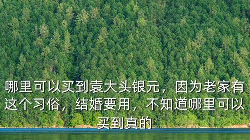瀘州哪里有賣(mài)銀元,銀元在哪里買(mǎi)正規(guī)有保障