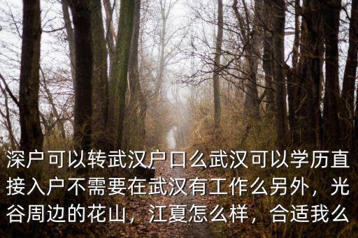 外地戶口租房怎么落戶武漢,深戶可以轉武漢戶口么