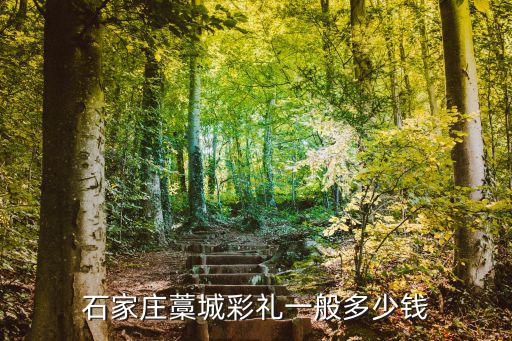 石家莊南孟村彩禮多少,石家莊井陘彩禮多少錢