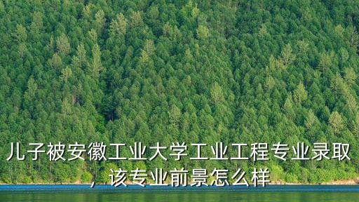 安徽工業大學冶金專業多少分,我兒子考上安徽工業大學
