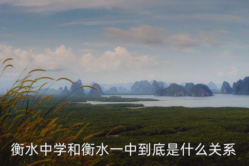 衡水中學和衡水一中到底是什么關系