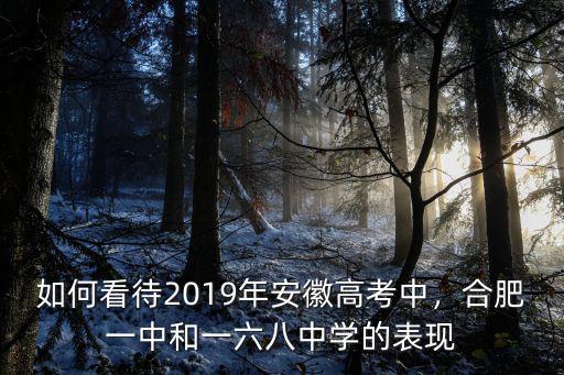 如何看待2019年安徽高考中，合肥一中和一六八中學的表現