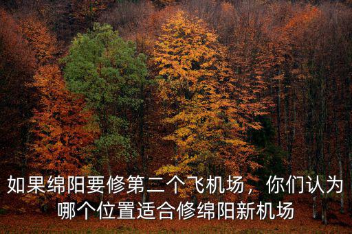 如果綿陽(yáng)要修第二個(gè)飛機(jī)場(chǎng)，你們認(rèn)為哪個(gè)位置適合修綿陽(yáng)新機(jī)場(chǎng)