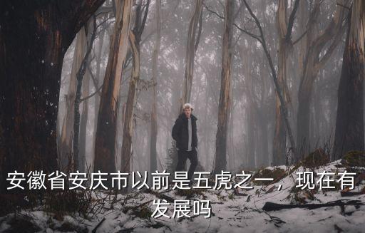 安徽有多少個安慶市,現(xiàn)在有發(fā)展嗎