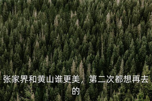 張家界到黃山的動車多少錢,張家界和黃山誰更美