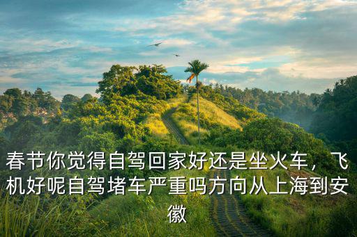春節(jié)你覺得自駕回家好還是坐火車，飛機好呢自駕堵車嚴重嗎方向從上海到安徽