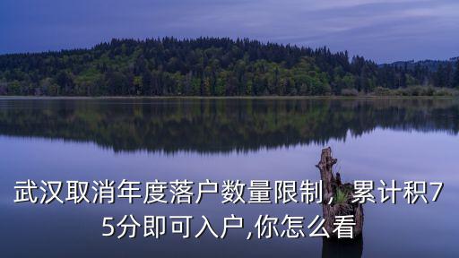 武漢落戶積分怎么查,無學歷在武漢該怎么落戶