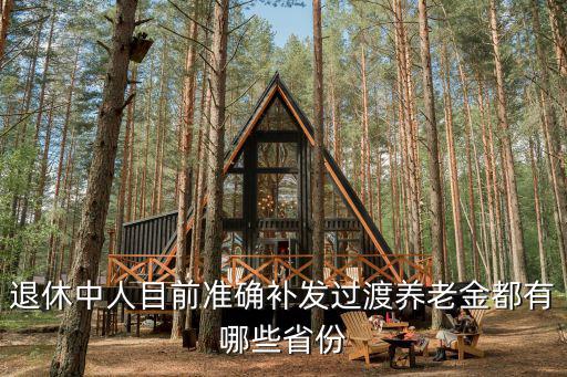 退休中人目前準確補發過渡養老金都有哪些省份
