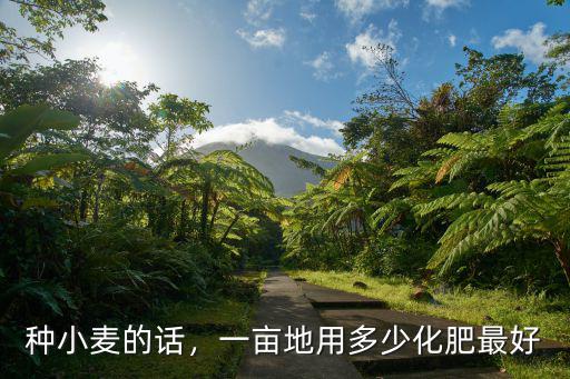 丹參一畝地用多少復合肥,一畝花生上多少復合肥