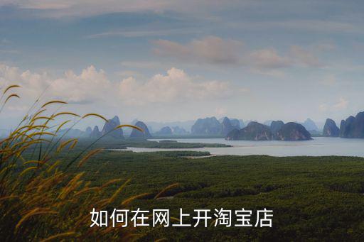 鄭州開淘寶店鋪怎么開,如何開淘寶店鋪和直播