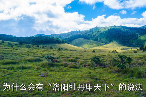 洛陽牡丹甲天下怎么樣,都說洛陽牡丹甲天下