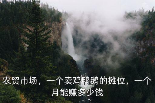阜陽(yáng)菜市場(chǎng)攤位多少錢一個(gè)月,一個(gè)月能賺多少錢
